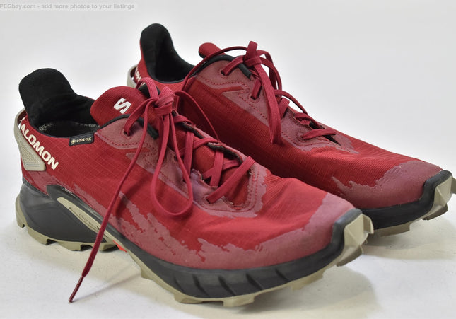Salomon Alphacross 4 GTX Herren Wanderschuhe  EUR 44 2/3 Nr. 25-V 550