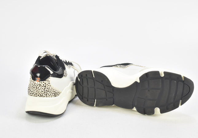 HUB Damen Halbschuhe Freizeitschuhe EUR 37 Nr. 24-F 969-Schuh-Gebraucht-secondhand